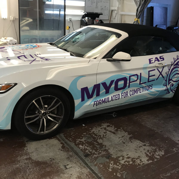 Vehicle Graphics for Myoplex